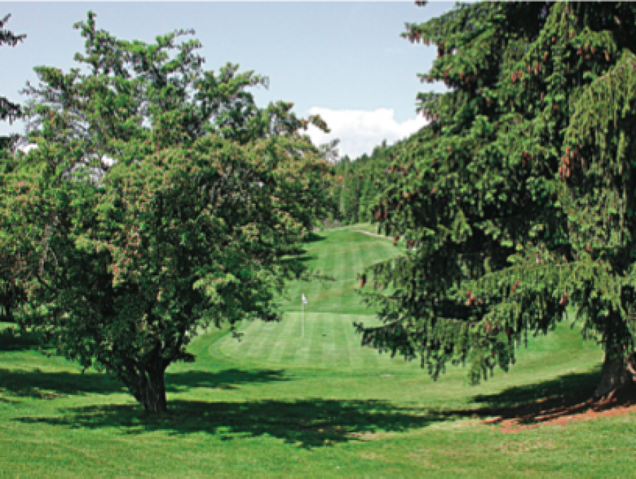Anglemont Estates Golf Course