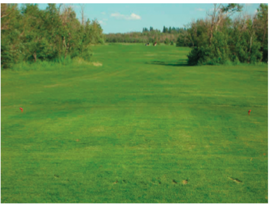 Tofield Golf Course