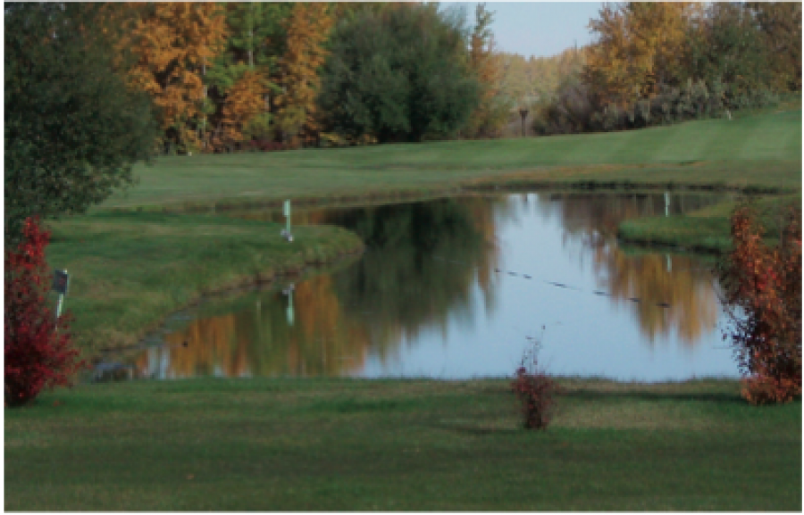 Bashaw Golf and Country Club